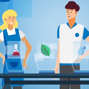 The T-Brand and the Authorization control (In English)