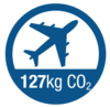 Plane Icon